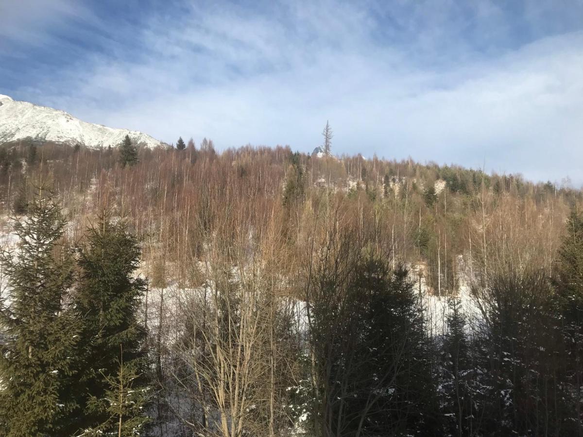 Apartmany Vila Vlasta Vysoke Tatry Luaran gambar