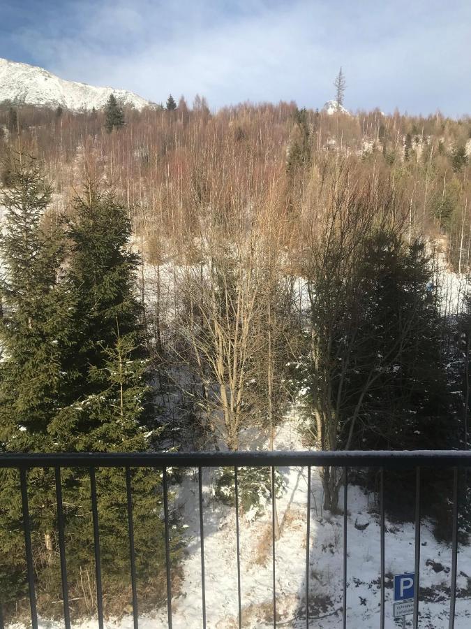 Apartmany Vila Vlasta Vysoke Tatry Luaran gambar